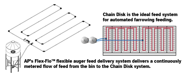 AP Chain Disk 5 AP Chain Disk 5