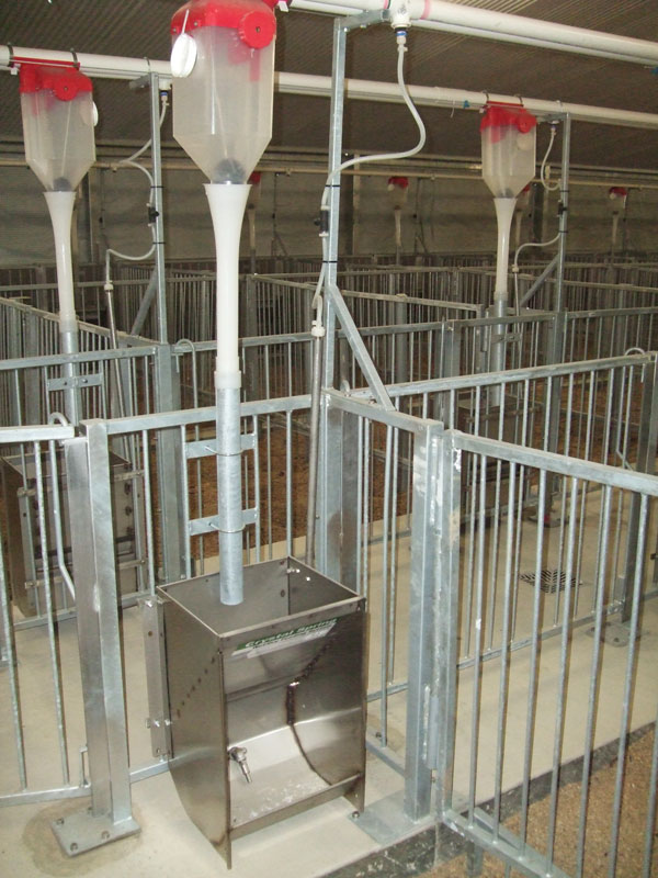 Crystal Spring Wet Dry Boar Feeder