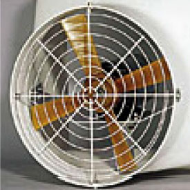 Fan Image Fan Image